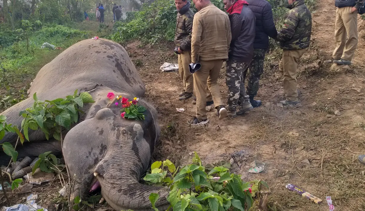 Penduduk desa dan pekerja kehutanan India menaruh bunga di sekitar tubuh seekor gajah desa Batasi dekat perbatasan India-Nepal, sekitar 37 km dari Siliguri (11/12/2019) Dua gajah yan tengah melintasi rel tewas ketabrak kereta penumpang yang sedang melaju. (AFP/Diptendu Dutta)