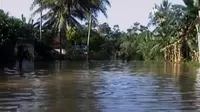 Banjir kembali merendam sejumlah desa di 7 kabupaten dan kota di Jambi, hingga kerinduan seorang nenek pada anak dan cucunya.