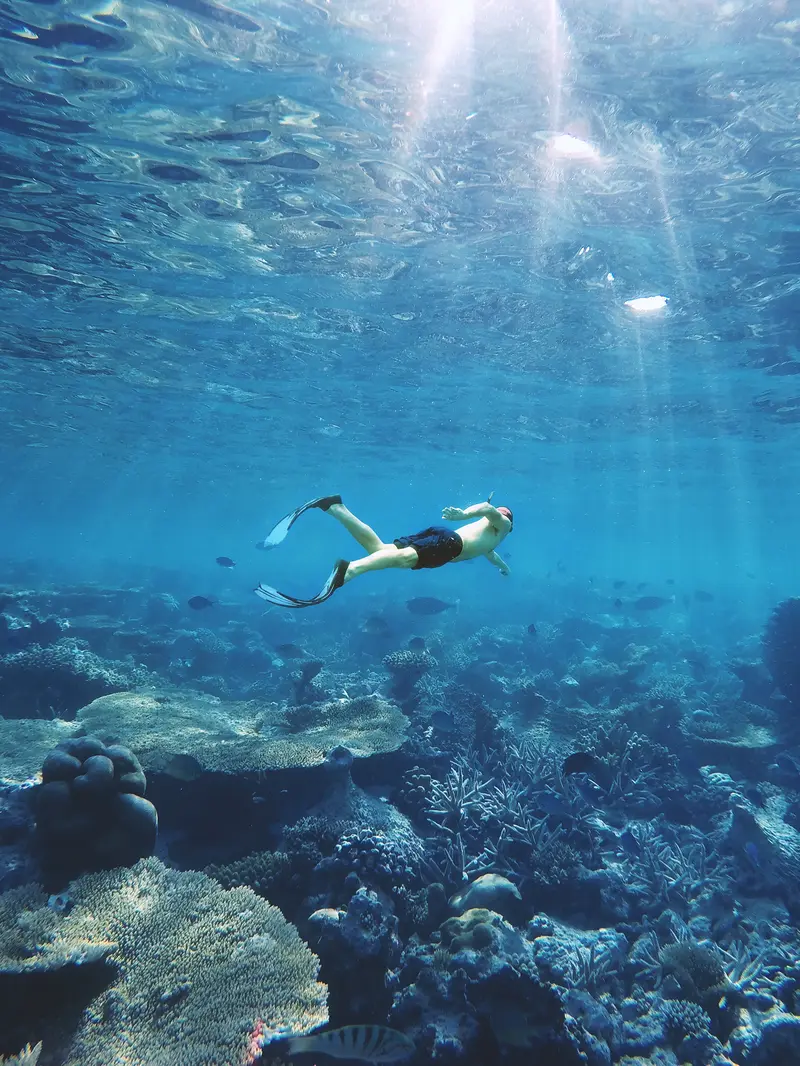 2 Turis Asing Tewas Diserang Hiu Ganas Saat Berenang di Laut Merah Mesir