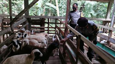 Polisi dan PNS Polri di Polres Pemalang yang hendak memasuki masa purna tugas dibekali kemampuan berwirausaha peternakan domba. (Foto: Liputan6.com/Humas Polres Pemalang)