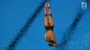 Atlet loncat indah saat tampil di final springboard 1m putri Asian Games 2018, Aquatic Centre, GBK, Jakarta, Jumat (31/8). Nomor ini dimenangkan oleh Wang Han asal China yang berhasil mendapatkan total skor 323.55. (Merdeka.com/Imam Buhori)
