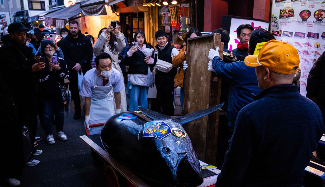 Sebagai informasi, menurut World Wildlife Fund (WWF), ikan tuna sirip biru merupakan yang terbesar dan dapat hidup hingga 40 tahun. Tampak dalam foto, seekor tuna sirip biru yang memenangkan penawaran tertinggi pada lelang tahunan “Tahun Baru” dibawa ke restoran Sushi Zanmai di Tokyo, Senin, 5 Januari 2026. (AP Photo/Louise Delmotte)
