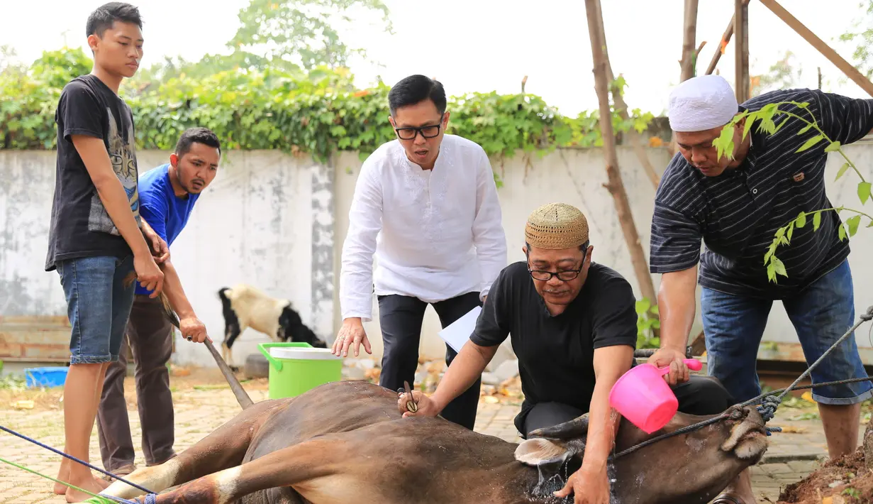 Sembilan lokasi dipilih komedian yang terjun ke dunia politik sejak tahun 2009 itu pada momen Idul Adha tahun ini. Meski demikian, ia juga tidak merasa kerepotan lantaran semua hewan untuk kurban di urus oleh pegawainya. (Adrian Putra/Bintang.com)