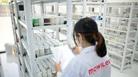 Produsen Cat Ramah Lingkungan Ini Buka Lowongan Kerja, Simak yang Dibutuhkan!