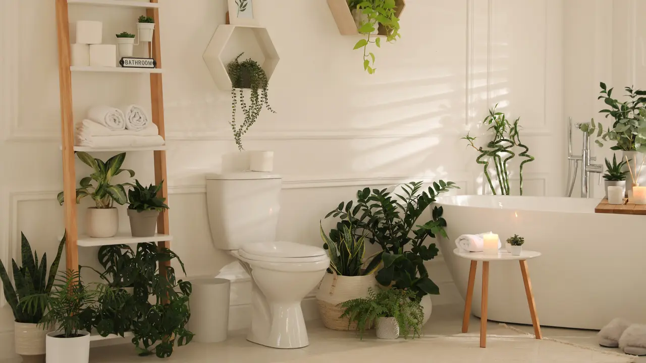 Toilet.
