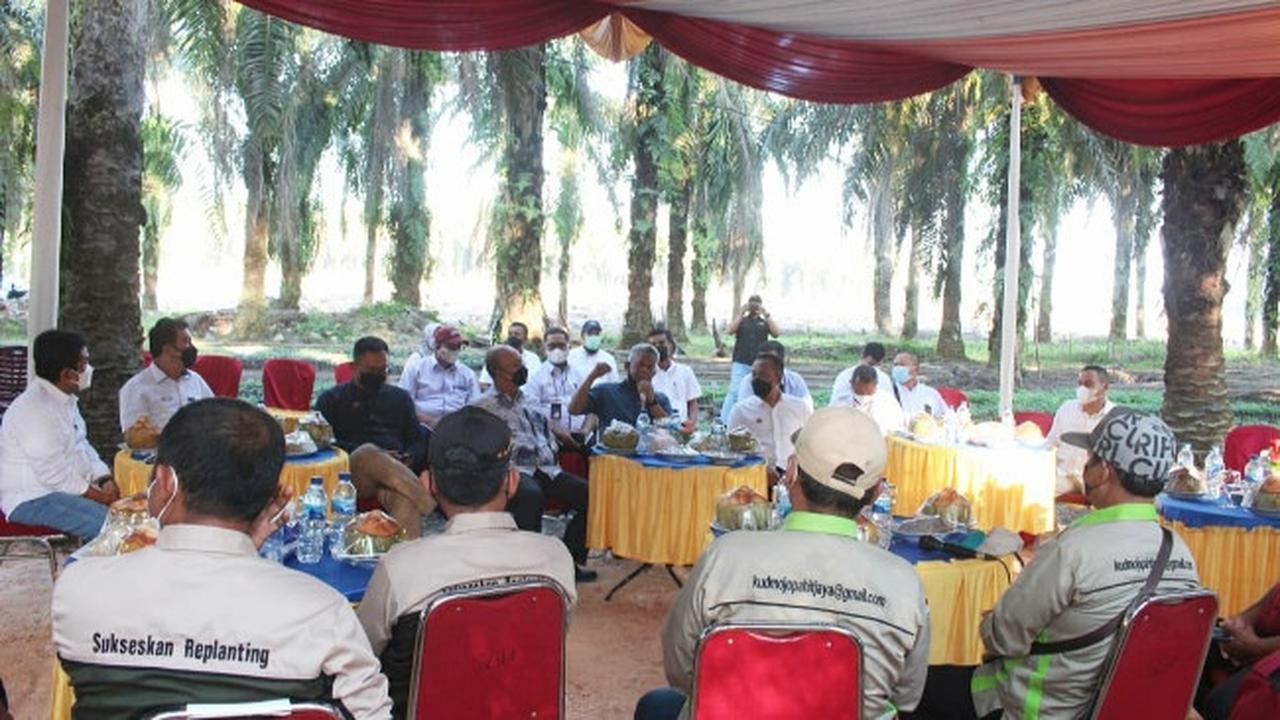 Diskusi manajemen PT Perkebunan Nusantara dengan petani plasma sawit di Kabupaten Kampar.