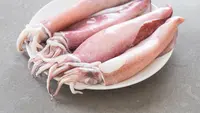 Cara Memasak Cumi agar Tidak Alot: Panduan Lengkap dari Pemilihan hingga Teknik Olah