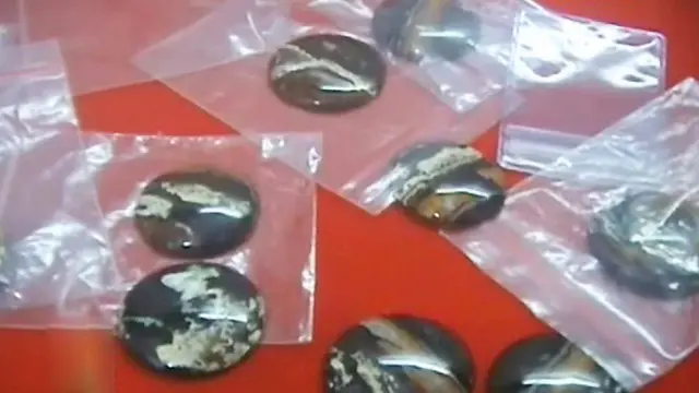 (Lip6 Petang) Liontin-KAA