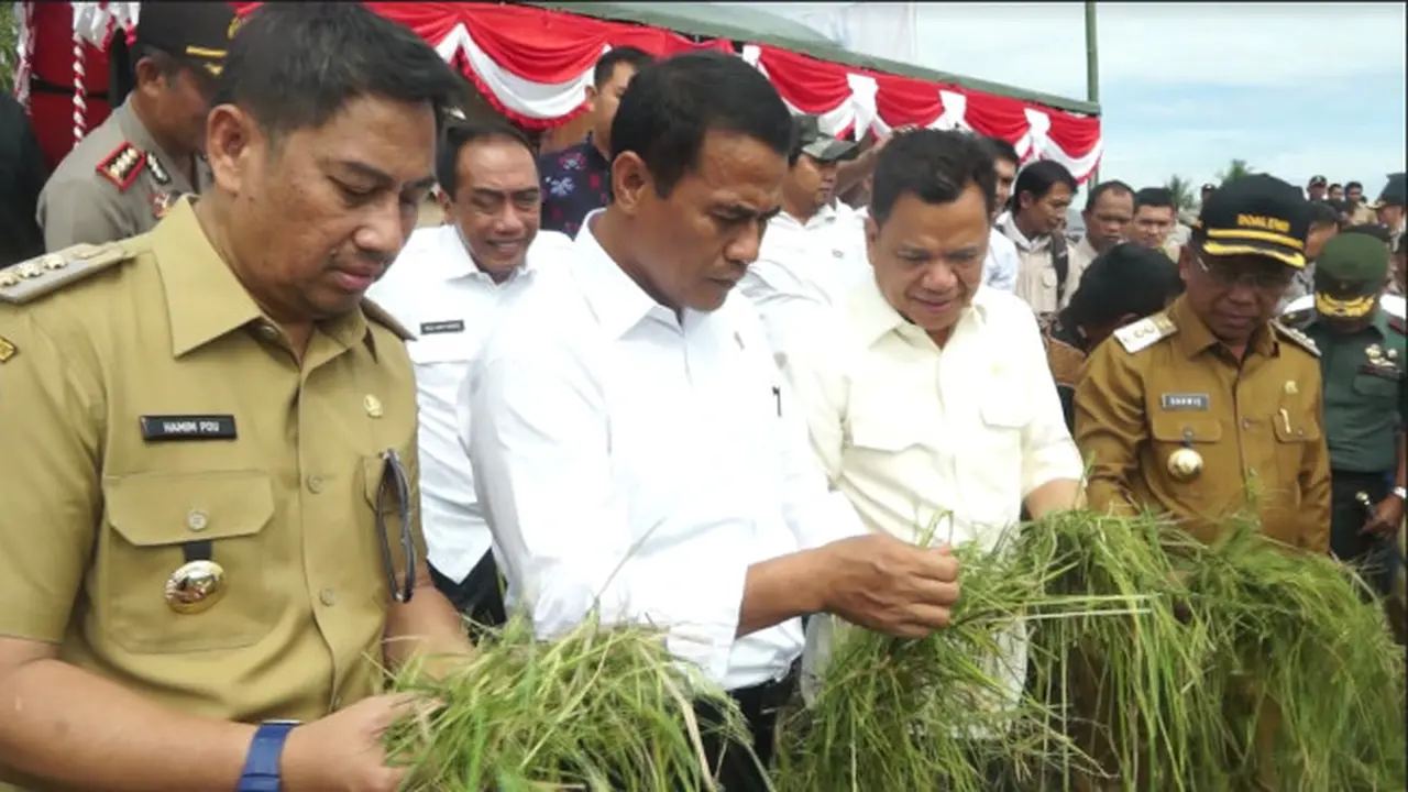 (Foto: Liputan6.com/Aldiansyah)
