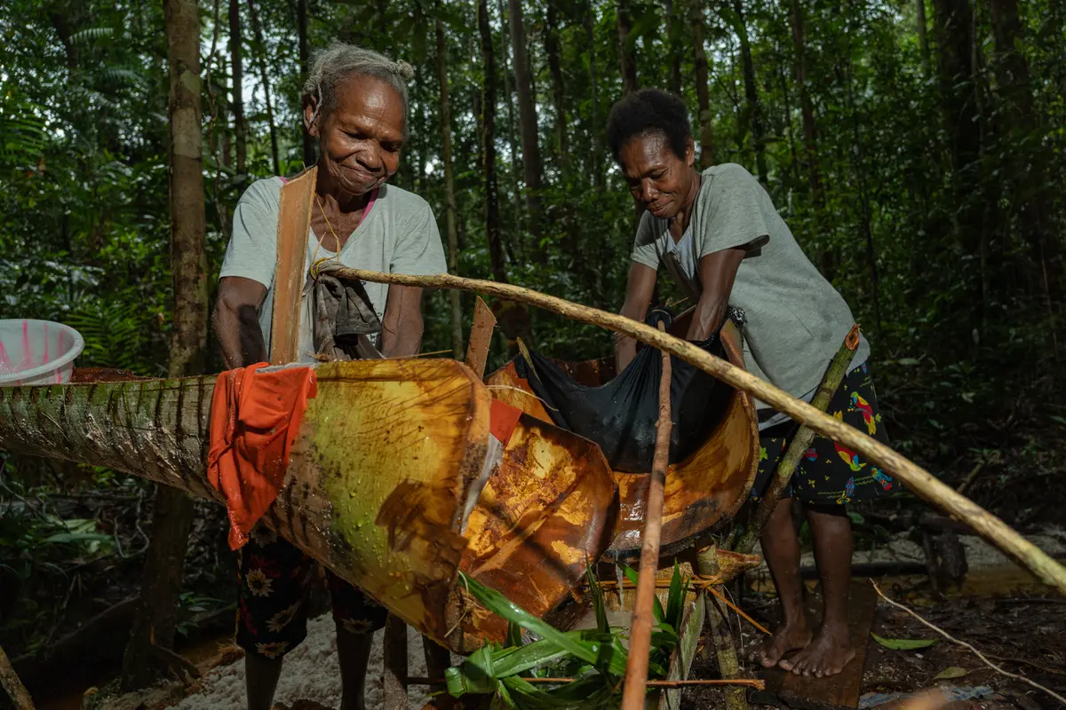 Hutan adalah Ibu, Cerita Masyarakat Adat Papua Manfaatkan dan Lindungi Pohon Sagu
