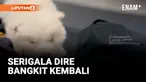 SERIGALA PURBA DIRE YANG PUNAH DARI 10.000 TAHUN LALU BANGKIT KEMBALI