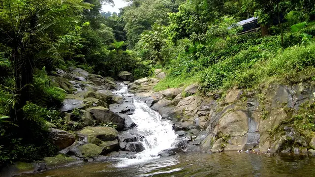 Menikmati Eloknya Alam di Curug Cipurut Purwakarta
