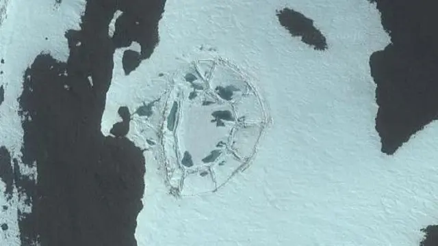 Ilustrasi di Antartika (Google Earth)