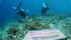 BRI melalui aktivitas Corporate Social Responsibilty (CSR) BRI Peduli Grow &amp; Green berkomitmen mendukung dan menjaga ekosistem dengan biodiversitas laut yang tertinggi dibanding ekosistem laut lainnya, melindungi pantai dan daerah pesisir, serta mengurangi pemanasan global. (Dok. BRI)