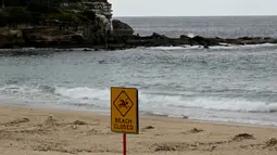 Ratusan bola hitam misterius seperti ter telah terdampar di pantai Sydney yang populer, mendorong penjaga pantai untuk menutup pantai tersebut bagi para perenang. (Saeed KHAN/AFP)