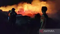 Kondisi Terkini Kompleks Perumahan Makassar Usai Kebakaran Lahan