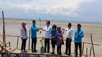 Penanaman satu juta mangrove di kawasan Desa Wisata Dewi Ikan Desa Kalipasung Kabupaten Cirebon. Foto (Liputan6.com/Panji Prayitno)