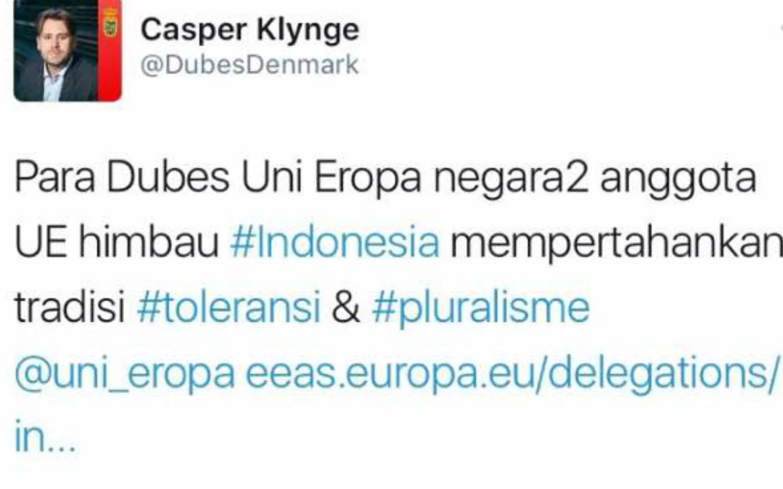 Terkait Kasus Ahok, Dubes Denmark Imbau RI Pertahankan Toleransi (Twitter Dubes Denmark)