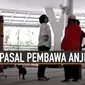 Pasal Yang Mengancam Pembawa Anjing Ke Masjid