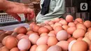 Seorang pembeli memilih telur pada agen telur di Tangerang, Banten, Selasa (8/3/2022). Menurut pedagang, pekan ini harga telur ayam ras mengalami kenaikan dari harga Rp19 ribu menjadi Rp24 ribu per kilogram. (Liputan6.com/Angga Yuniar)