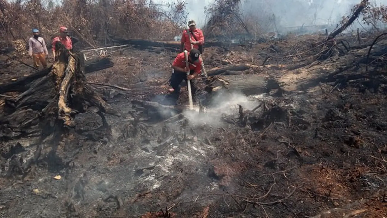 Petugas pemadam kebakaran lahan di Rupat menyiram bara api di gambut agar tak berkobar lagi diterpa angin