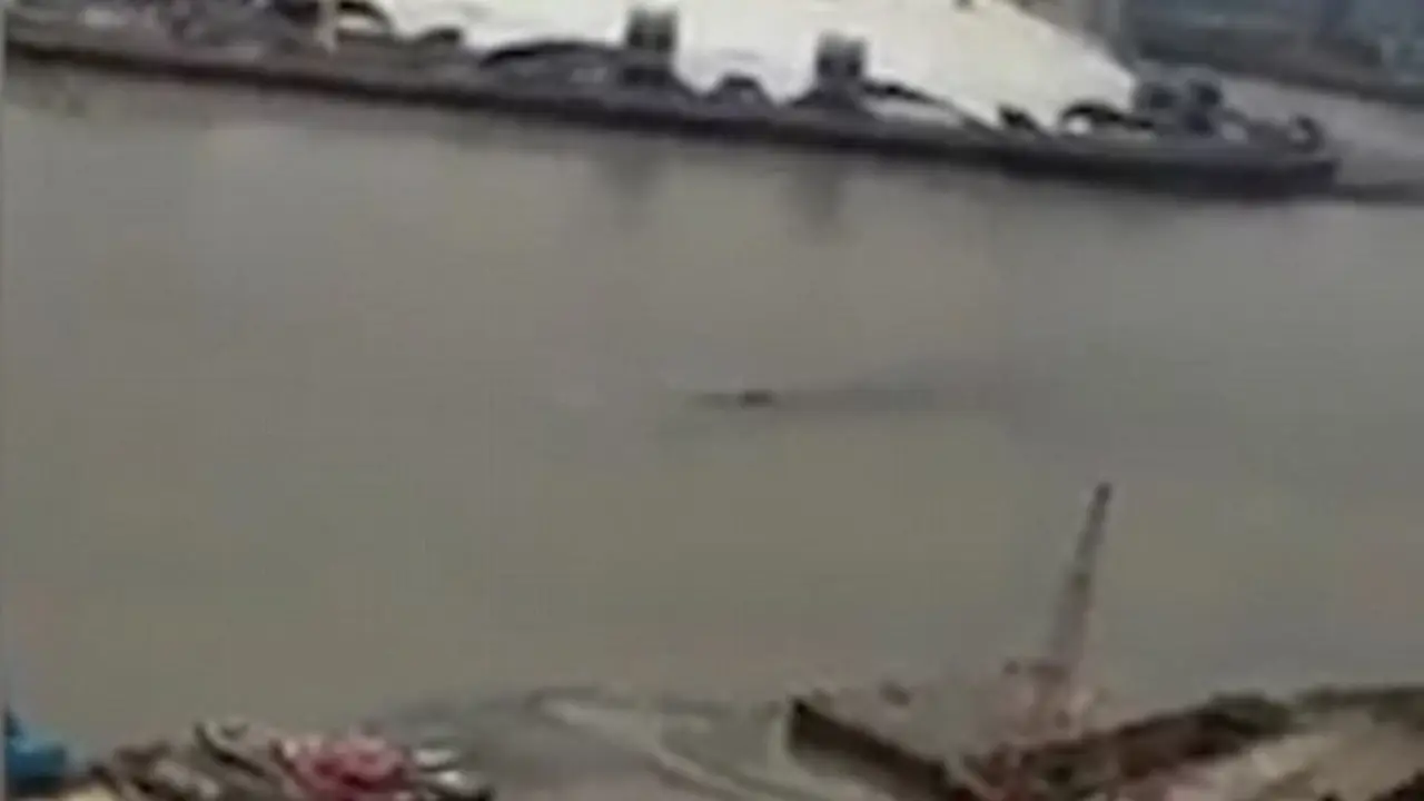 Monster Misterius Loch Ness Berlibur Ke London.