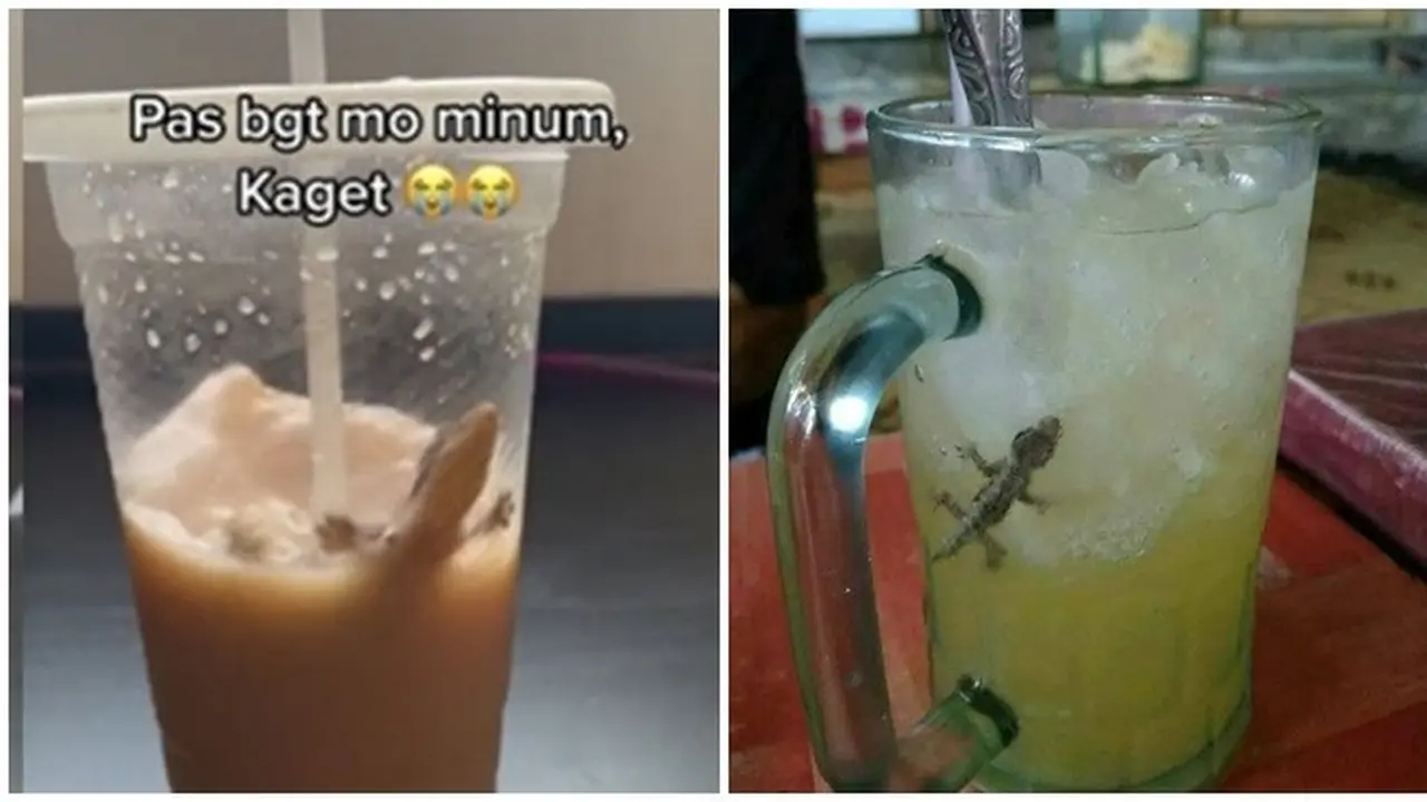 6 Momen Apes Cicak Masuk Gelas Isi Minuman Ini Bikin Geli