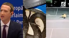 Video Hit kali ini hadir dari berita penyesalan Zuckerberg atas penyalahgunaan data Facebook, ular di tumpukan ikat pinggang, dan pria yang meninggal saat main bulutangkis.