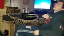 Will Powers dan kucingnya, Arcturus Aldebaran Powers ketika sedang bersantai. Walaupun tubuhnya jauh lebih besar dibanding kucing lain pada umumnya, Arcturus tidak punya banyak perbedaan dengan mereka. (facebook.com/ArcturusAldebaranPowers)