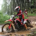 Harga Motor Honda CRF150L Bekas per Oktober 2026