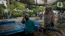Hal tersebut sejalan dengan upaya Pemprov DKI Jakarta yang rutin melakukan penanaman pohon di seluruh wilayah DKI Jakarta. (Liputan6.com/Faizal Fanani)