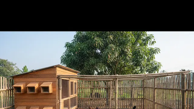 Desain Kandang Ayam Multifungsi Sekaligus Kebun Sayur. AI