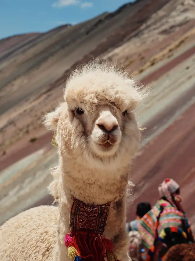 [Fimela] Gunung Pelangi, Peru