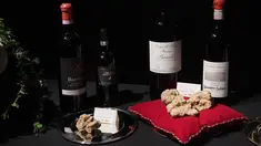 Jamur truffle putih dipamerkan setelah dijual dengan harga 75.000 Euro selama World Alba White Truffle Auction di istana Grinzane, Italia (12/11). Jamur putih ini dibeli oleh pria Hong Kong seharga Rp 1,1 Miliar. (AFP Photo/Marco Bertorello)