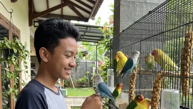 Ide Usaha Ternak untuk Anak Sekolah