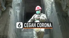 THUMBNAIL CORONA