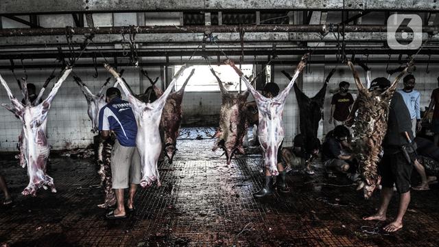 FOTO: Penyembelihan Hewan Kurban di Tengah Pandemi COVID-19