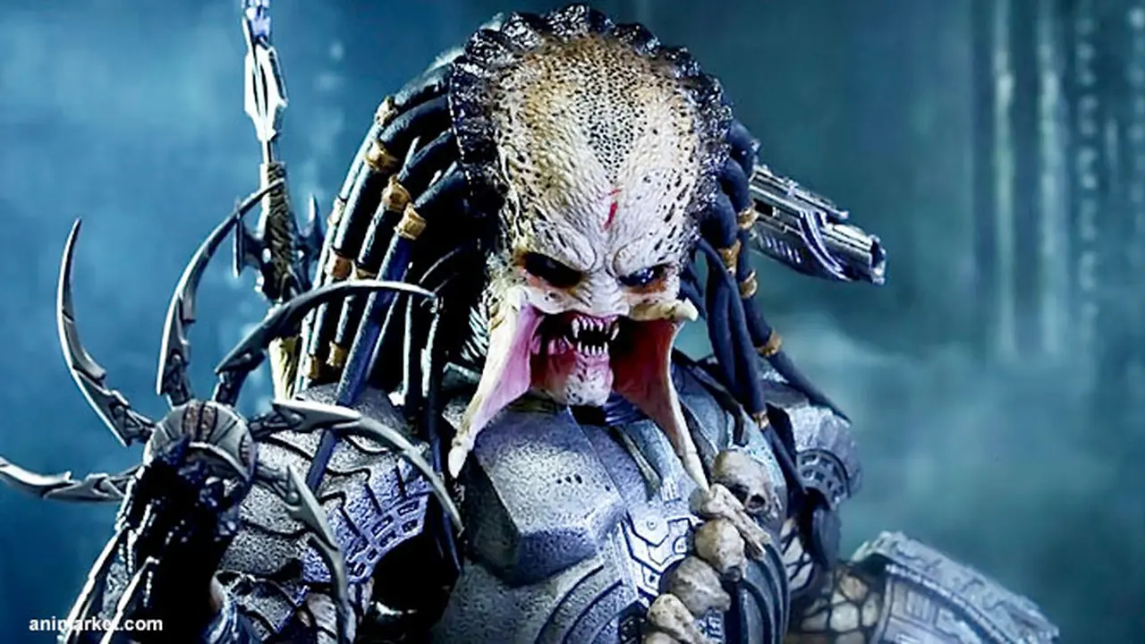 predator-130717c.jpg