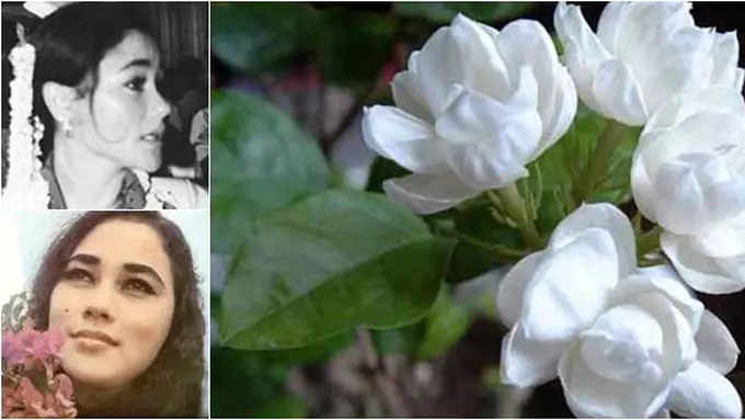 (c) justflowers.com, kaskus, wikipedia