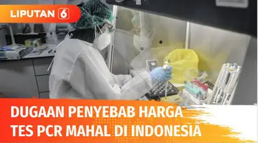 Rapat dengar pendapat membahas harga PCR antara PT Biofarma dengan Komisi VI DPR RI mendesak agar Komisi Pengawas Persaingan Usaha (KPPU) untuk mengusut mahalnya harga PCR. Diduga adanya praktek kartel yang menyebabkan harga PCR mahal dari harga poko...