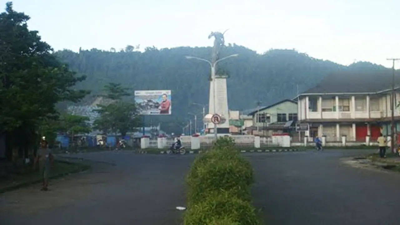 nabire-130715b.jpg