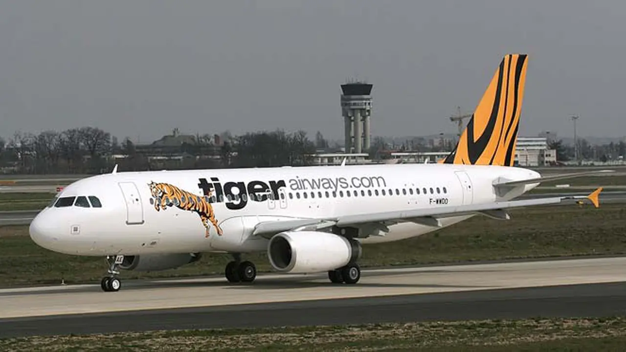 tiger-air-140206c.jpg