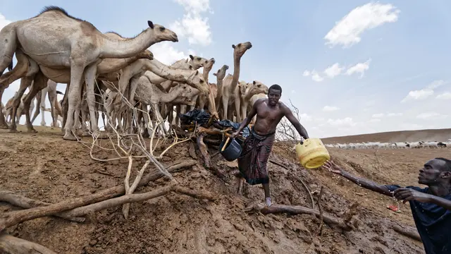 Negara Kawasan Tanduk Afrika Mengalami Kekeringan-AP Photo-20170305