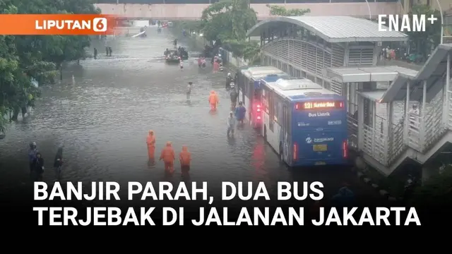 Banjir Rendam Mangga Dua Raya, Bus Transjakarta Tak Bisa Melintas