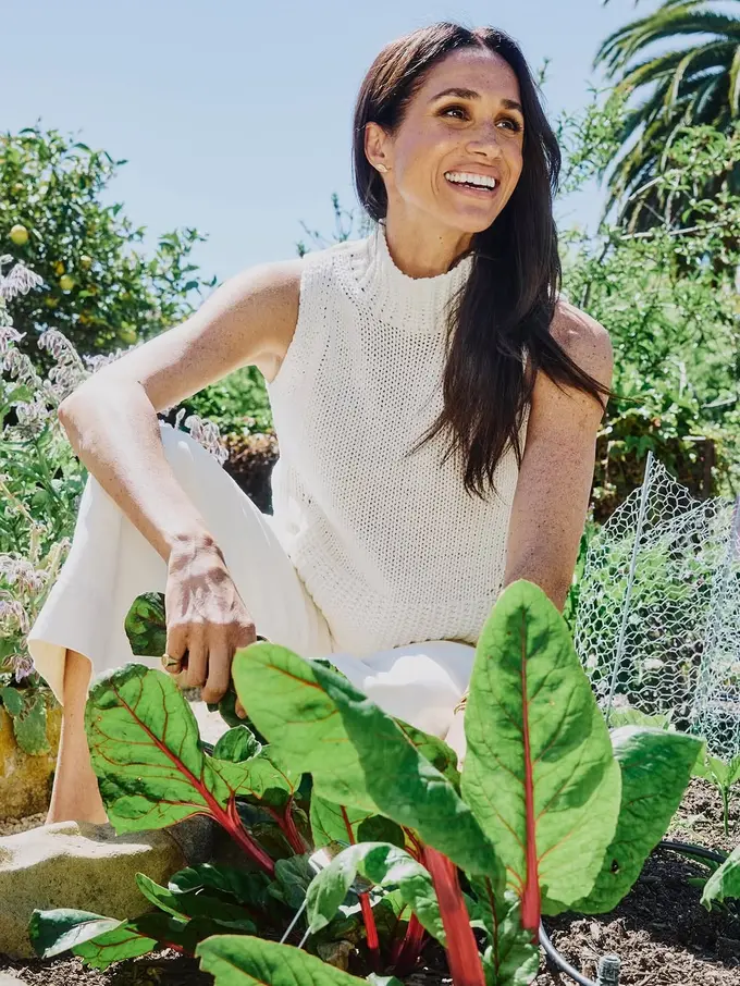 Meghan Markle Jajal Bisnis Baru, Jadi Pengusaha Selai