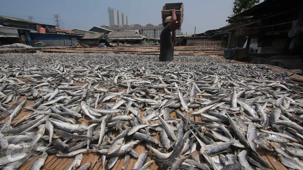 20151204-Pasokan Menurun, Utilitas Industri Pengolahan Ikan Hanya Tersisa 40%