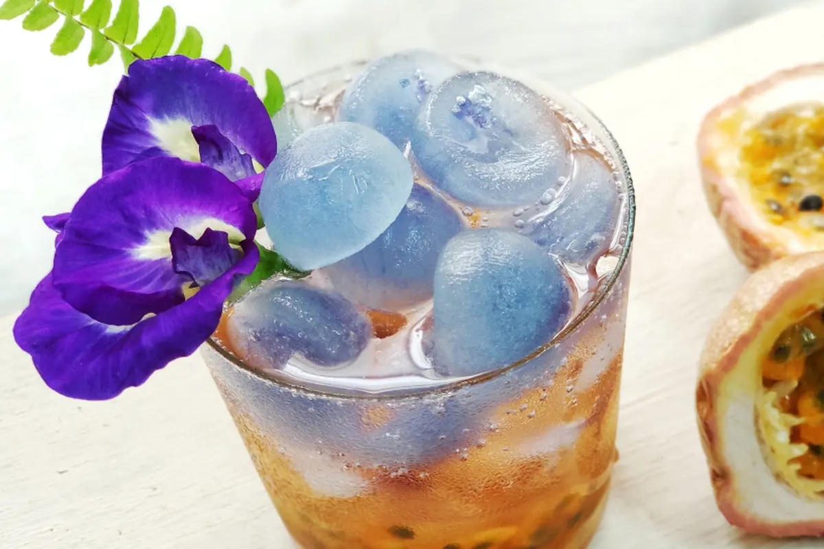minuman segar buah markisa bunga telang