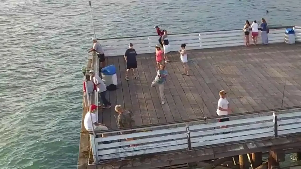 Pemancing Piawai Mencoba Memancing Drone Yang Sedang Terbang