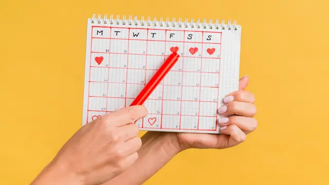 Ilustrasi siklus menstruasi