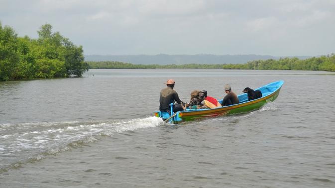 Sebuah perahu jukung melintas di kawasan mangrove, Laguna Segara Anakan, Cilacap, Jawa Tengah. Foto: Liputan6.com/Muhamad Ridlo)